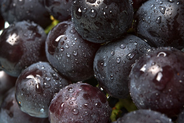 Similar image 10956206