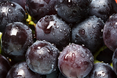 Similar image 10956208