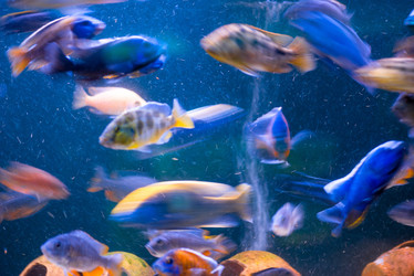 Similar image 10957363