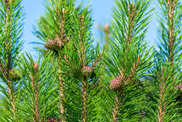 Similar image 10957369