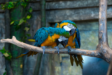 Similar image 10957370