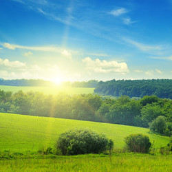 Similar image 10956537