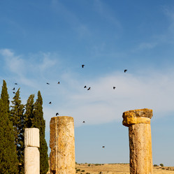 Similar image 10957667