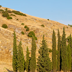 Similar image 10957668