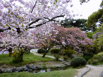 Similar image 10956129