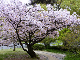 Similar image 10956130