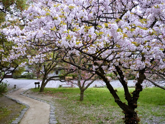 Similar image 10956131