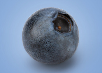 Similar image 10956444