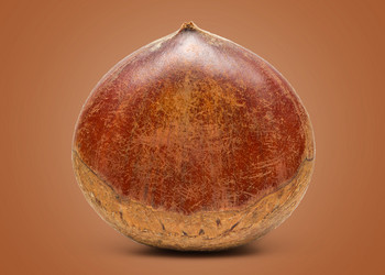 Similar image 10956445