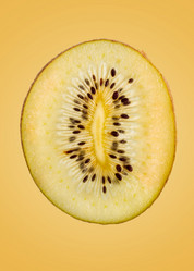 Similar image 10956417