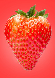 Similar image 10956422