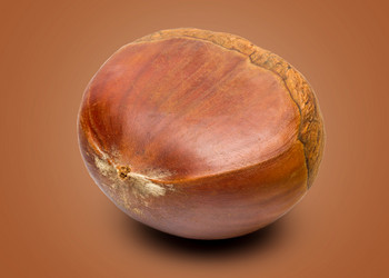 Similar image 10956423