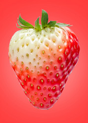 Similar image 10956426