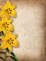 Similar image 10955976