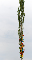 Similar image 10956618