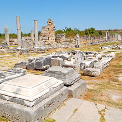 Similar image 10957541