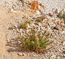 Similar image 10957542