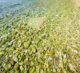 Similar image 10957547