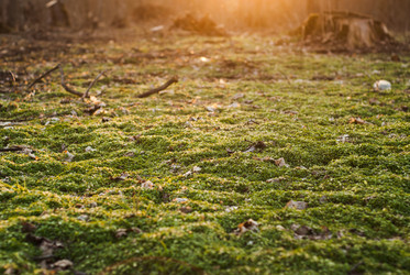 Similar image 10956313