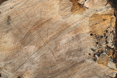 Similar image 10956314