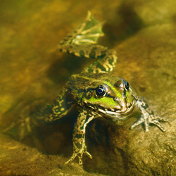 Similar image 10956542