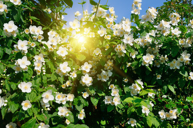 Similar image 10956543