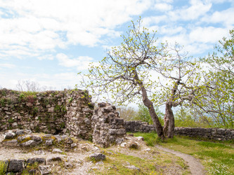 Similar image 10957146