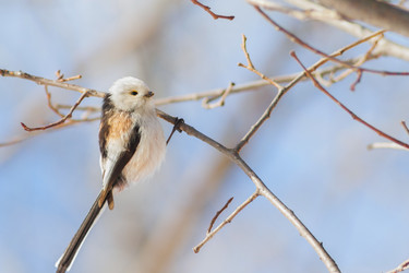 Similar image 10955300