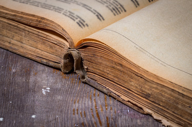 Similar image 10957740