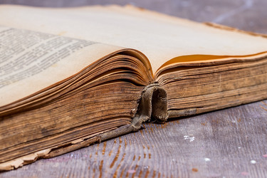 Similar image 10957741