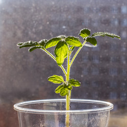 Similar image 10957742