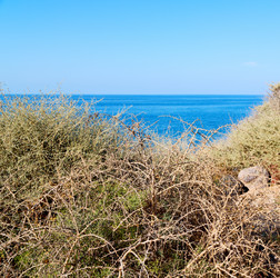 Similar image 10957202