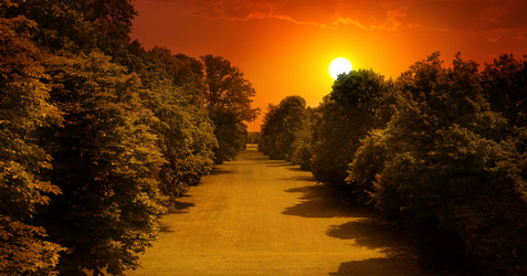 Similar image 10955956