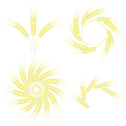 Similar image 10957084