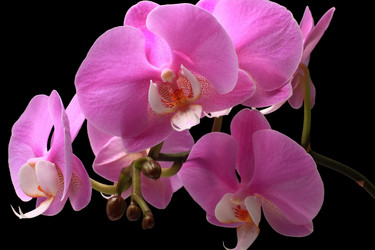 Similar image 10955304