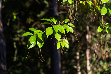 Similar image 10957241