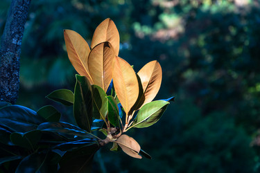 Similar image 10957242