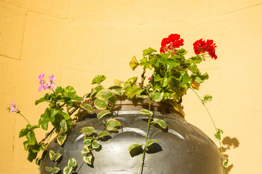 Similar image 10957227