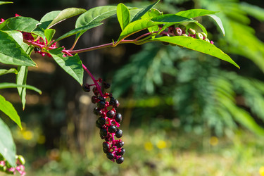 Similar image 10957254