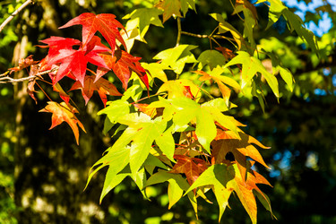 Similar image 10957257