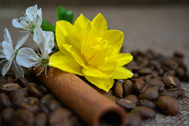 Similar image 10955998