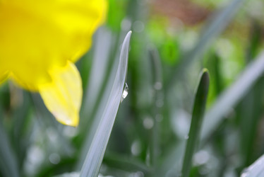 Similar image 10956268