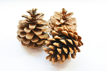 Similar image 10956272