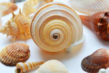 Similar image 10956731