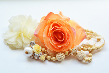 Similar image 10956732