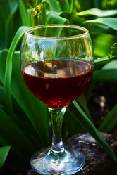 Similar image 10957118