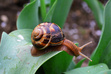 Similar image 10957579