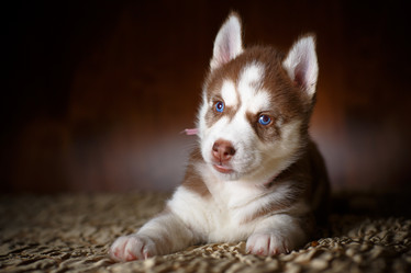 Similar image 10958534