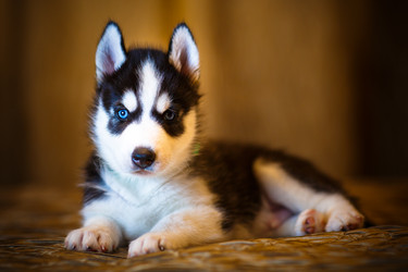 Similar image 10958537