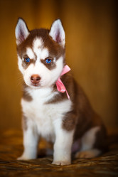 Similar image 10958540